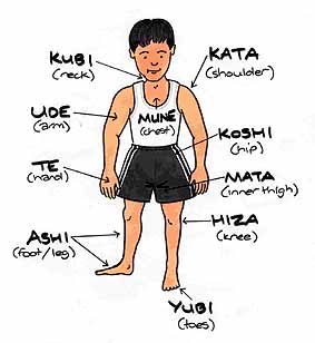 judo_body